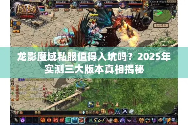 龙影魔域私服值得入坑吗？2025年实测三大版本真相揭秘