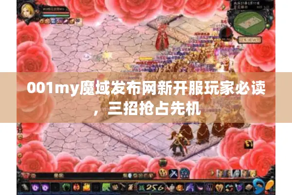 001my魔域发布网新开服玩家必读，三招抢占先机
