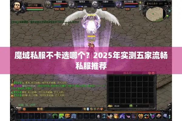 魔域私服不卡选哪个？2025年实测五家流畅私服推荐