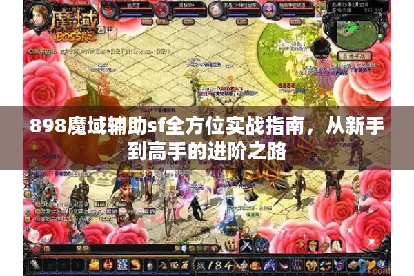 898魔域辅助sf全方位实战指南，从新手到高手的进阶之路