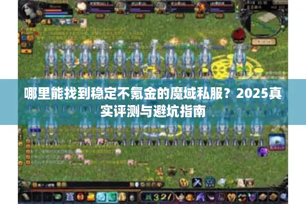 哪里能找到稳定不氪金的魔域私服？2025真实评测与避坑指南