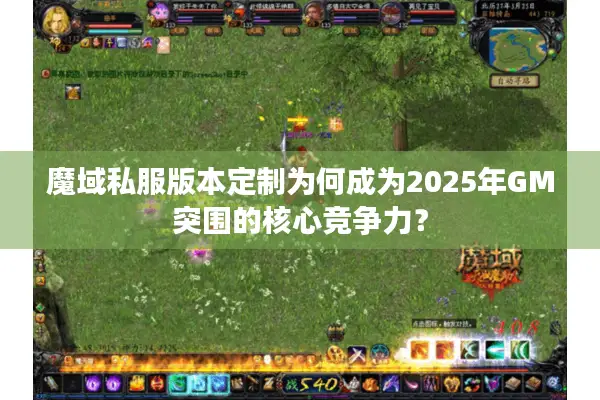 魔域私服版本定制为何成为2025年GM突围的核心竞争力？