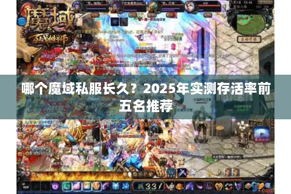 哪个魔域私服长久?2025年实测存活率前五名推荐 哪个魔域私服长久?2025年实测存活率前五名推荐