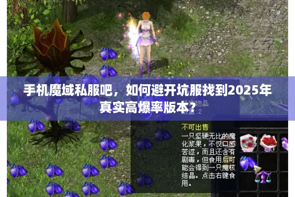 手机魔域私服吧，如何避开坑服找到2025年真实高爆率版本？
