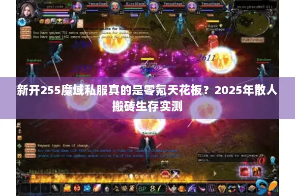 新开255魔域私服真的是零氪天花板？2025年散人搬砖生存实测