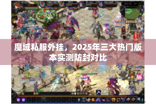魔域私服外挂，2025年三大热门版本实测防封对比