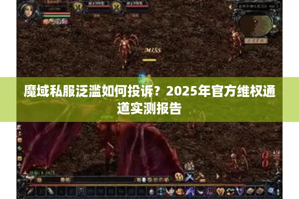 魔域私服泛滥如何投诉？2025年官方维权通道实测报告