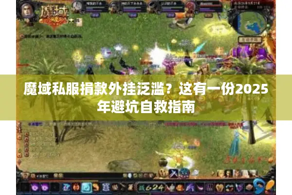 魔域私服捐款外挂泛滥？这有一份2025年避坑自救指南