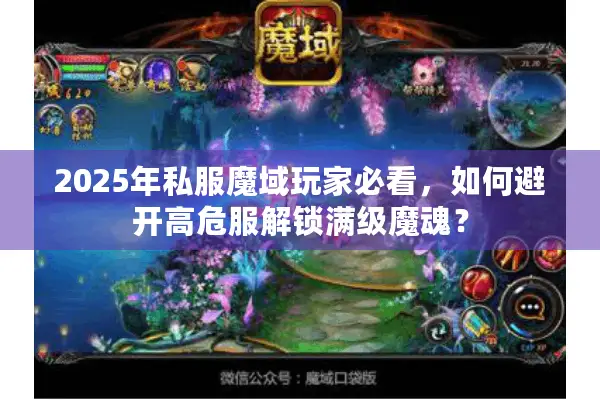 2025年私服魔域玩家必看，如何避开高危服解锁满级魔魂？