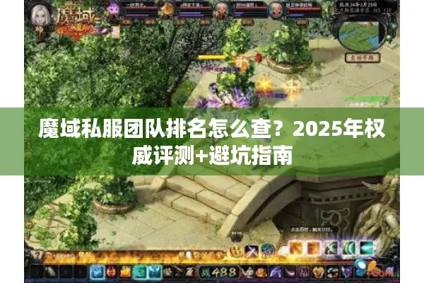 魔域私服团队排名怎么查？2025年权威评测+避坑指南