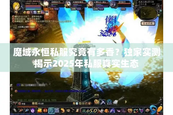 魔域永恒私服究竟有多香？独家实测揭示2025年私服真实生态