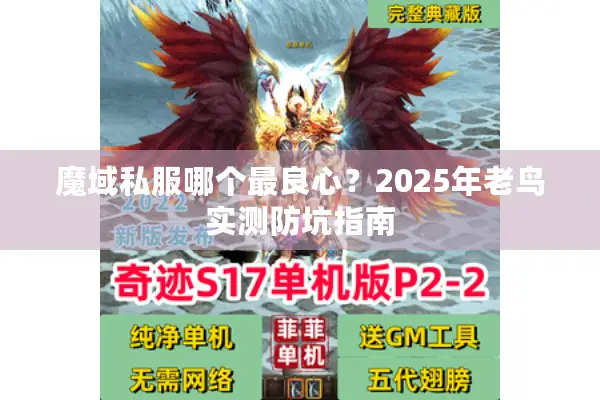 魔域私服哪个最良心？2025年老鸟实测防坑指南