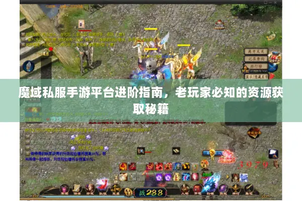 魔域私服手游平台进阶指南，老玩家必知的资源获取秘籍