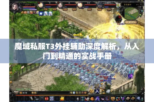 魔域私服T3外挂辅助深度解析，从入门到精通的实战手册