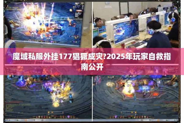 魔域私服外挂177猖獗成灾?2025年玩家自救指南公开