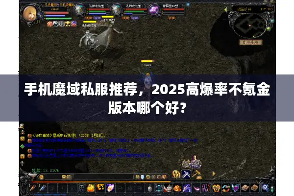 手机魔域私服推荐，2025高爆率不氪金版本哪个好？