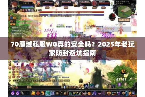 70魔域私服WG真的安全吗？2025年老玩家防封避坑指南