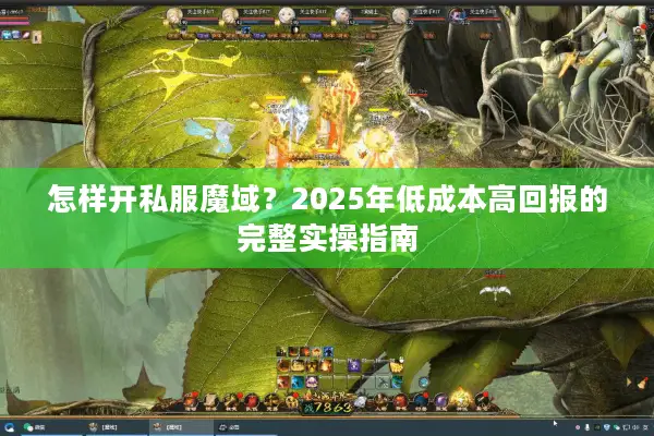 怎样开私服魔域？2025年低成本高回报的完整实操指南