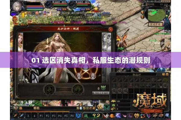 01 选区消失真相,私服生态的潜规则 01 选区消失真相,私服生态的潜规则