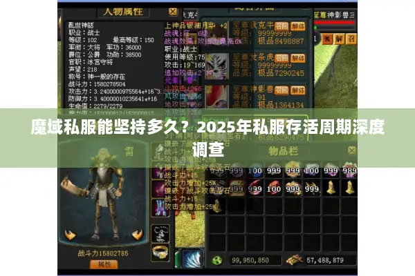 魔域私服能坚持多久？2025年私服存活周期深度调查