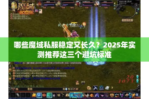 哪些魔域私服稳定又长久？2025年实测推荐这三个避坑标准