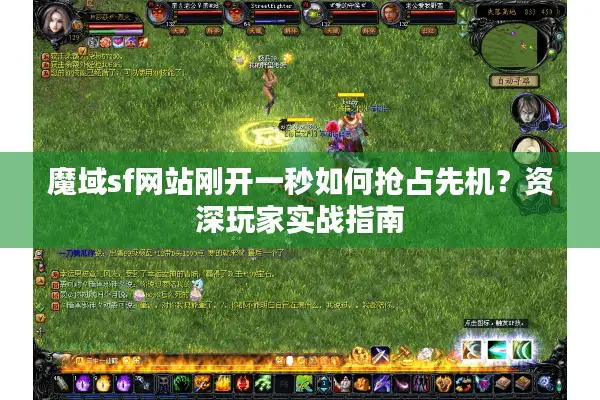 魔域sf网站刚开一秒如何抢占先机？资深玩家实战指南