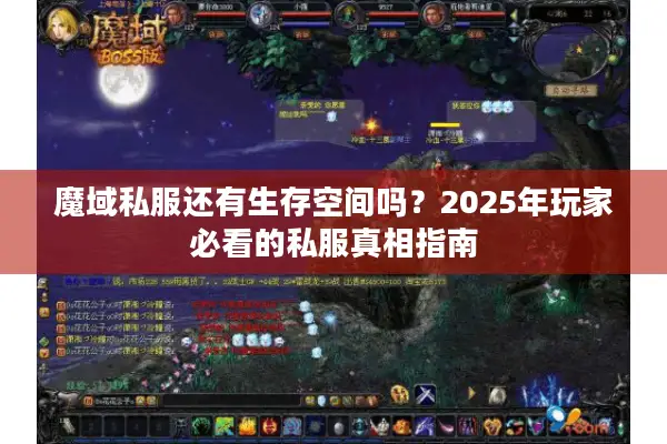 魔域私服还有生存空间吗？2025年玩家必看的私服真相指南