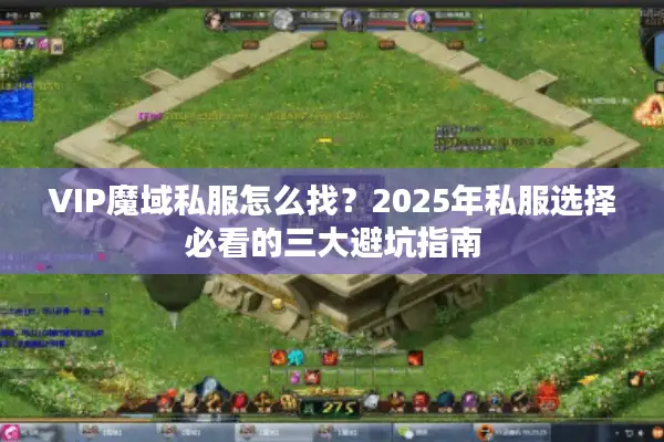 VIP魔域私服怎么找？2025年私服选择必看的三大避坑指南