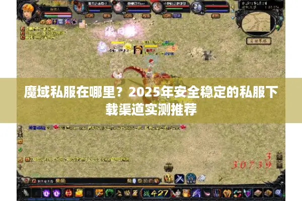 魔域私服在哪里？2025年安全稳定的私服下载渠道实测推荐