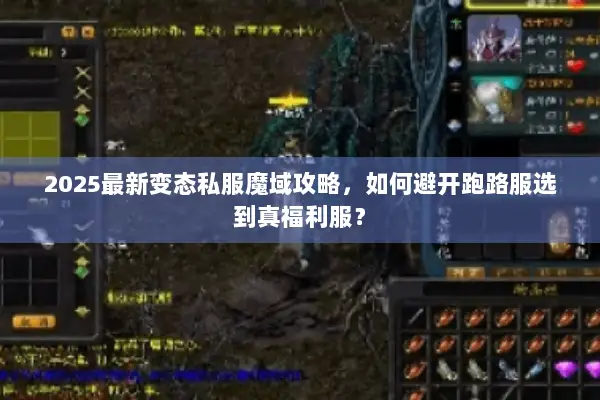 2025最新变态私服魔域攻略，如何避开跑路服选到真福利服？