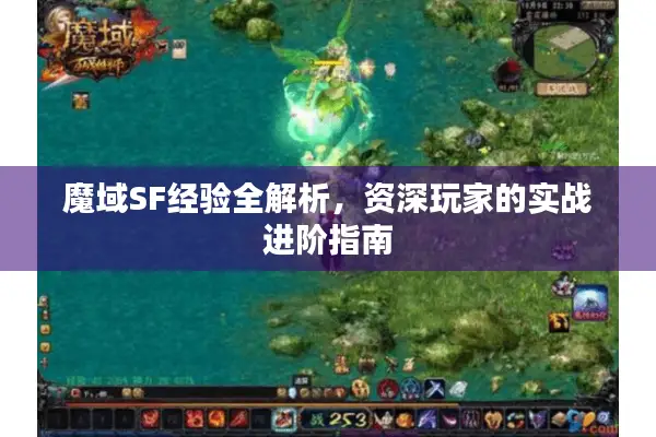 魔域SF经验全解析，资深玩家的实战进阶指南