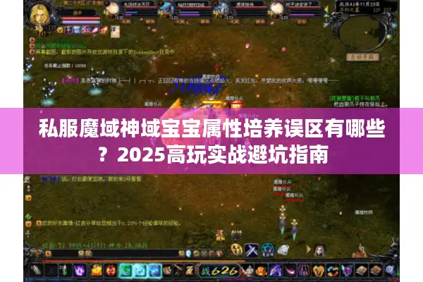 私服魔域神域宝宝属性培养误区有哪些？2025高玩实战避坑指南
