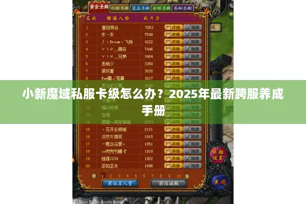 小新魔域私服卡级怎么办？2025年最新跨服养成手册