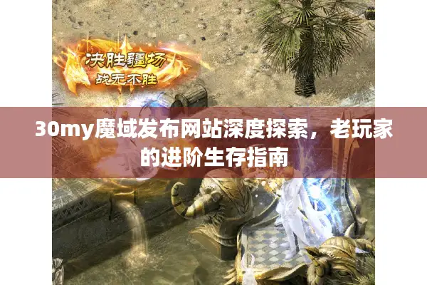 30my魔域发布网站深度探索，老玩家的进阶生存指南