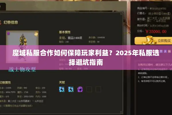 魔域私服合作如何保障玩家利益?2025年私服选择避坑指南 魔域私服合作如何保障玩家利益?2025年私服选择避坑指南