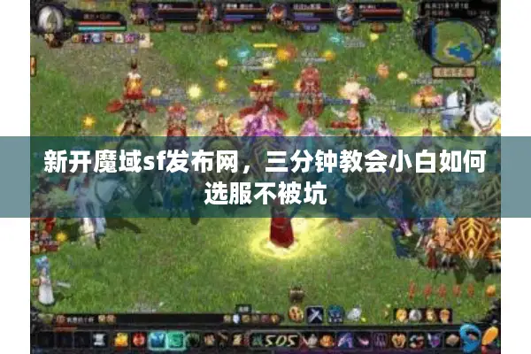 新开魔域sf发布网，三分钟教会小白如何选服不被坑