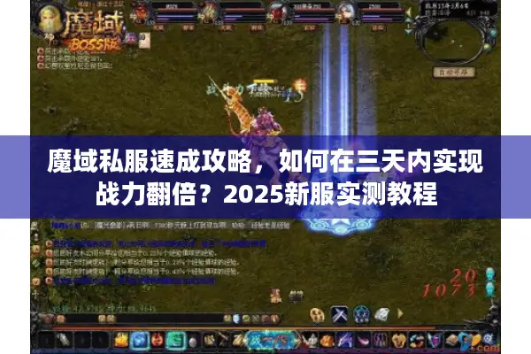 魔域私服速成攻略，如何在三天内实现战力翻倍？2025新服实测教程