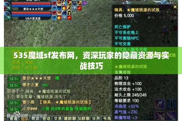 535魔域sf发布网，资深玩家的隐藏资源与实战技巧