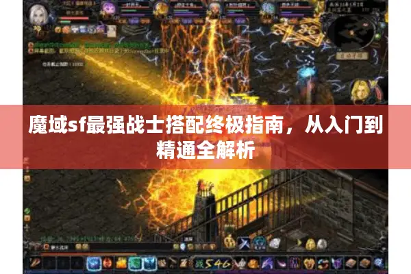 魔域sf最强战士搭配终极指南，从入门到精通全解析
