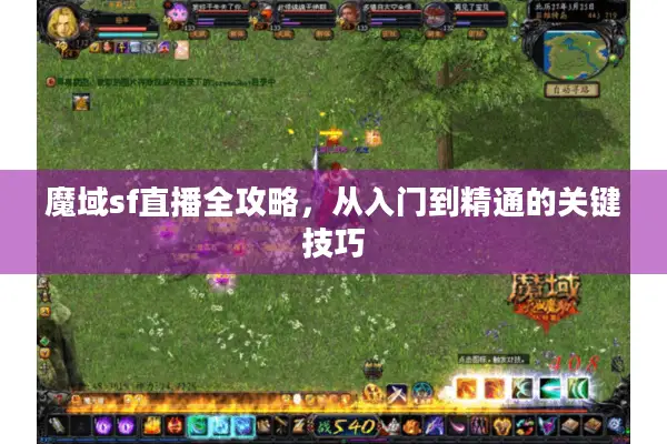 魔域sf直播全攻略，从入门到精通的关键技巧