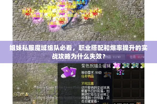 姐妹私服魔域组队必看，职业搭配和爆率提升的实战攻略为什么失效？