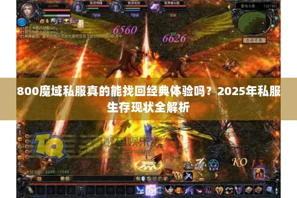 800魔域私服真的能找回经典体验吗？2025年私服生存现状全解析