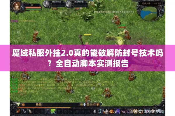 魔域私服外挂2.0真的能破解防封号技术吗？全自动脚本实测报告