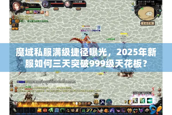 魔域私服满级捷径曝光，2025年新服如何三天突破999级天花板？