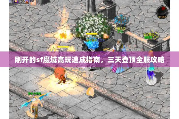 刚开的sf魔域高玩速成指南，三天登顶全服攻略