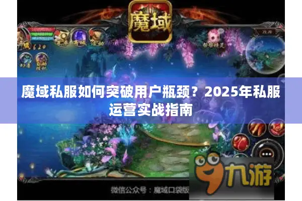魔域私服如何突破用户瓶颈？2025年私服运营实战指南