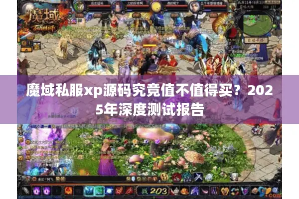 魔域私服xp源码究竟值不值得买？2025年深度测试报告