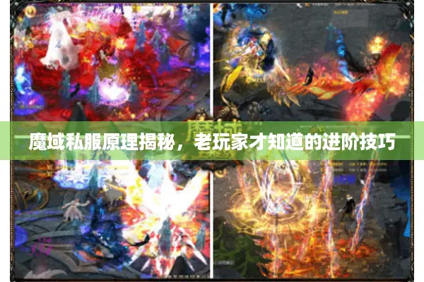 魔域私服原理揭秘，老玩家才知道的进阶技巧