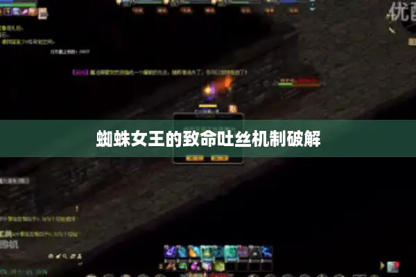 蜘蛛女王的致命吐丝机制破解