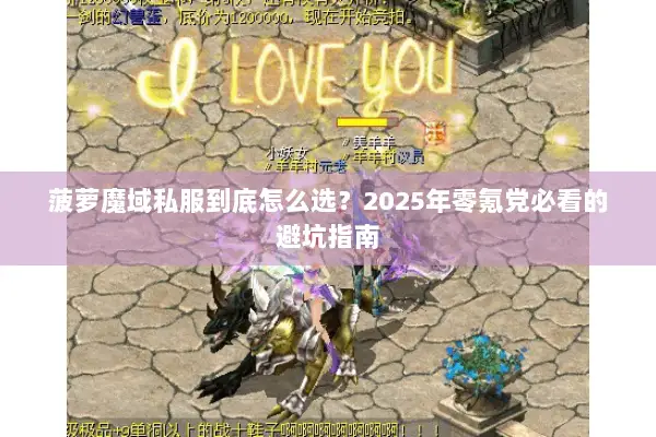 菠萝魔域私服到底怎么选？2025年零氪党必看的避坑指南